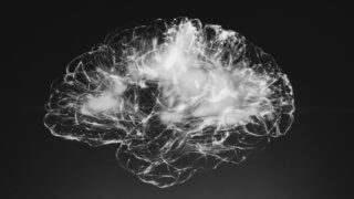 electronic scan of human brain