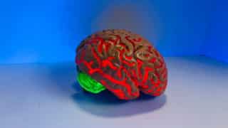 Glowing orange and green plastic model of brain against a blue and white backdrop