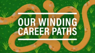 Our Winding Career Paths (Ep. 268)
