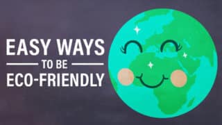 Easy Ways to Be Eco-Friendly